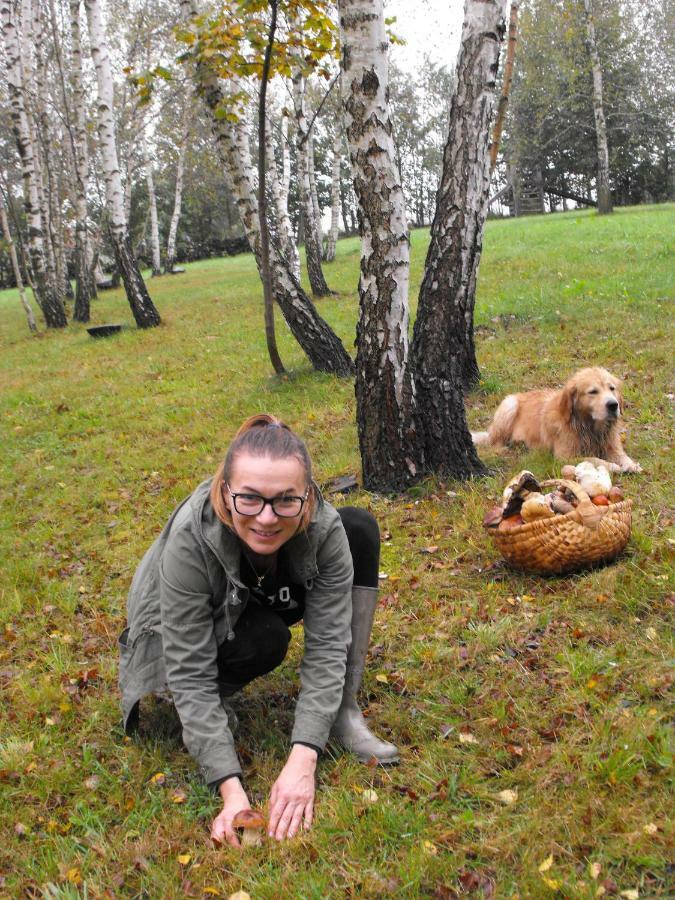 Agroturystyka Zacisze Czarna Owca Brzezanka Eksteriør bilde